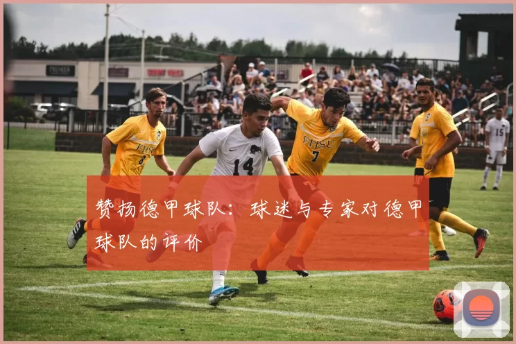 赞扬德甲球队：球迷与专家对德甲球队的评价