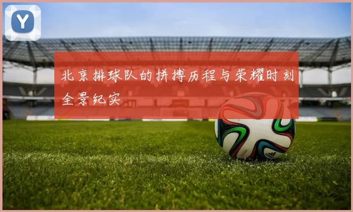 北京排球队的拼搏历程与荣耀时刻全景纪实