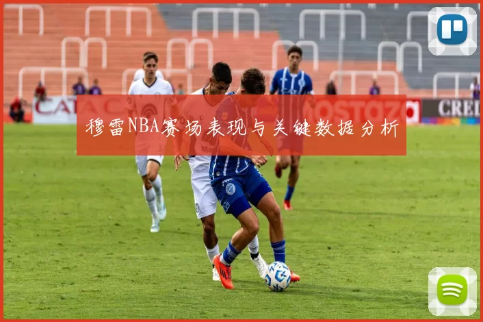 穆雷NBA赛场表现与关键数据分析