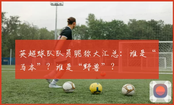 英超球队队员昵称大汇总：谁是“马本”？谁是“野兽”？