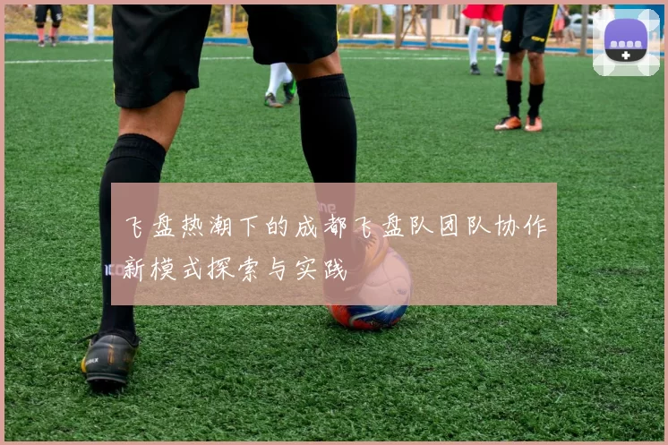 飞盘热潮下的成都飞盘队团队协作新模式探索与实践