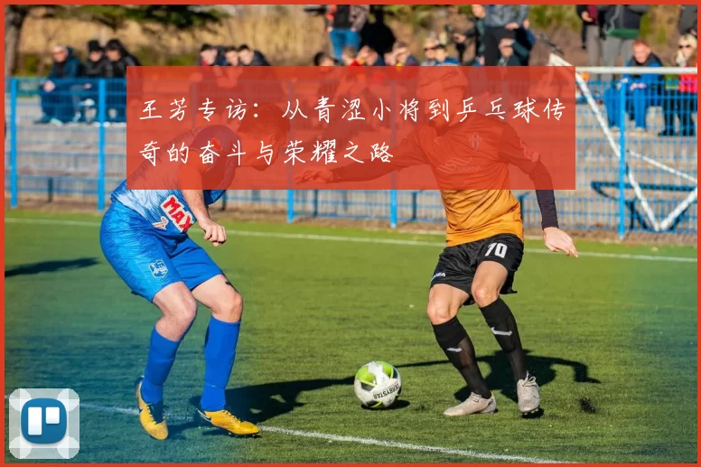 王芳专访：从青涩小将到乒乓球传奇的奋斗与荣耀之路