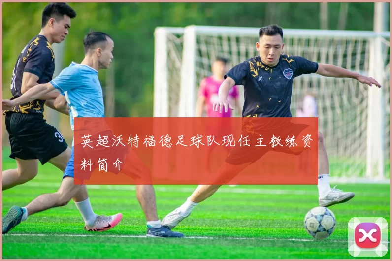 英超沃特福德足球队现任主教练资料简介